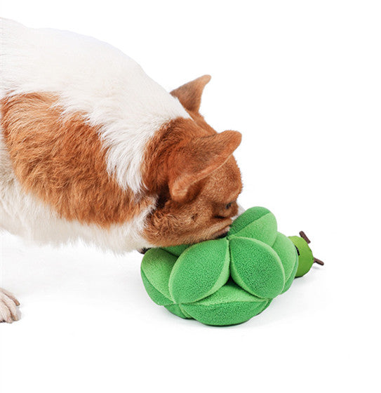 Interactive dog toys with food